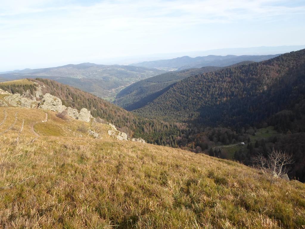 Camping Les Pinasses La Chapelle  Eksteriør bilde
